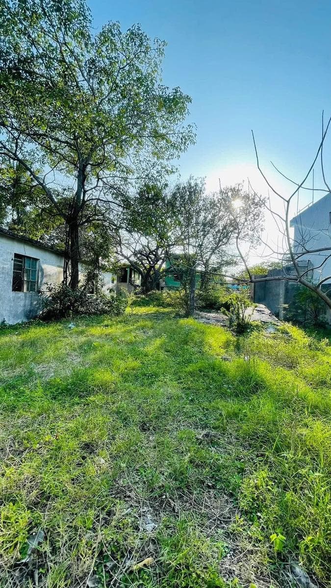 Land in Francisco Villa