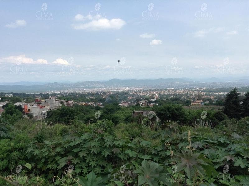 LAND FOR SALE WITH DEEDS IN CUERNAVACA - T9-1