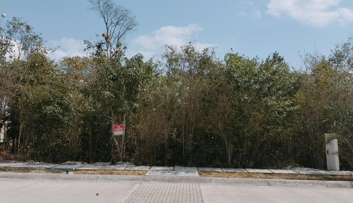 LAND FOR SALE: 225 m² IN PLAYA DEL CARMEN ON A PRIVATE STREET WITH A POOL