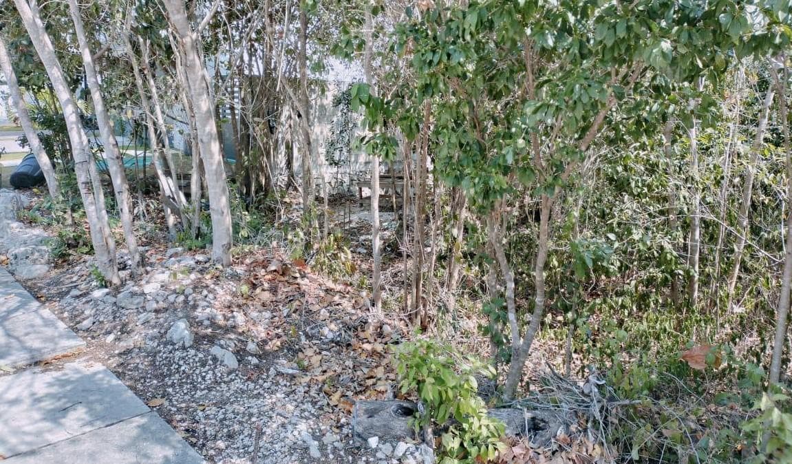 LAND FOR SALE: 225 m² IN PLAYA DEL CARMEN ON A PRIVATE STREET WITH A POOL