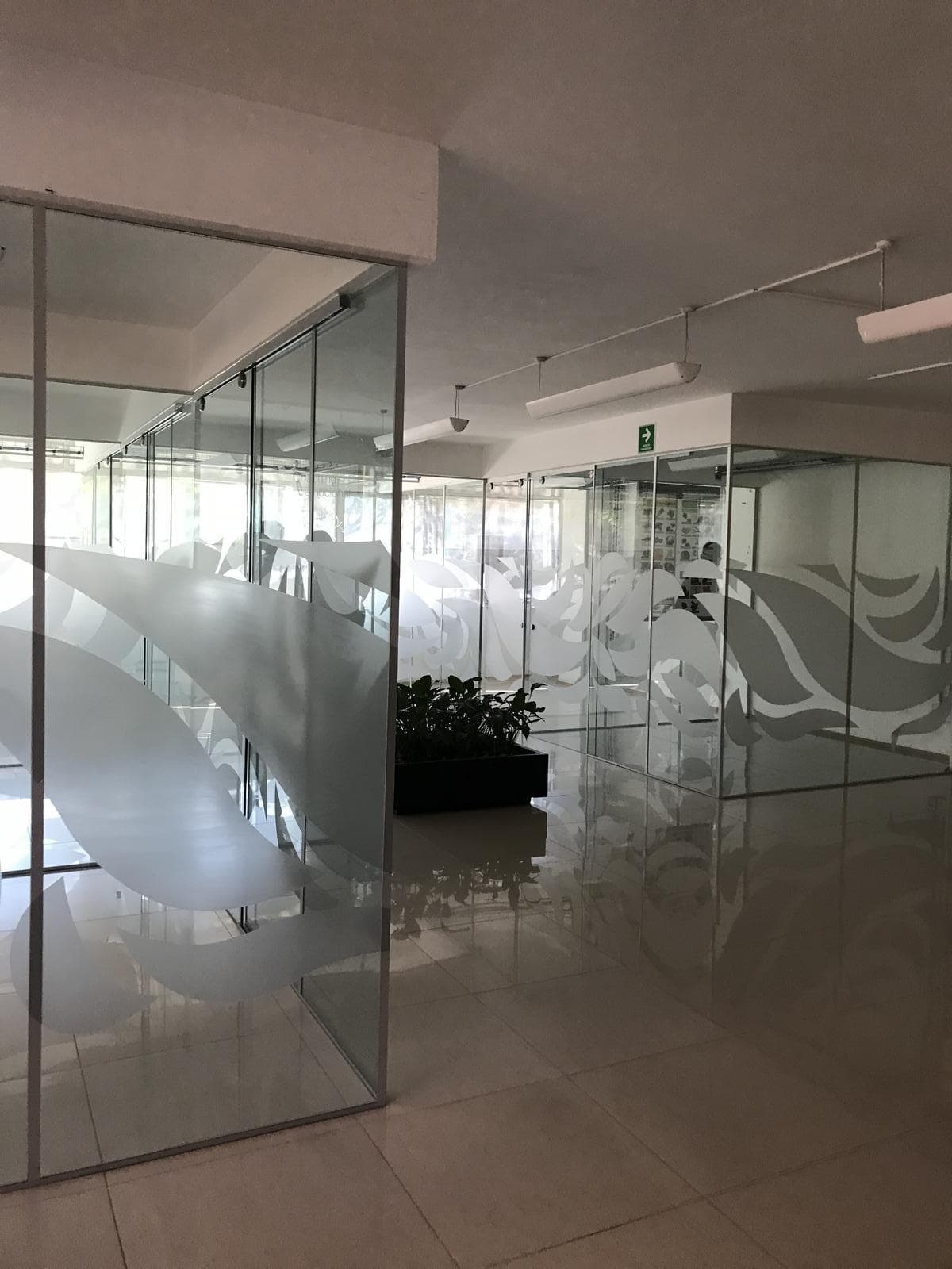 Commercial Office Building for Rent, Benito Juárez, Actipan Del Valle