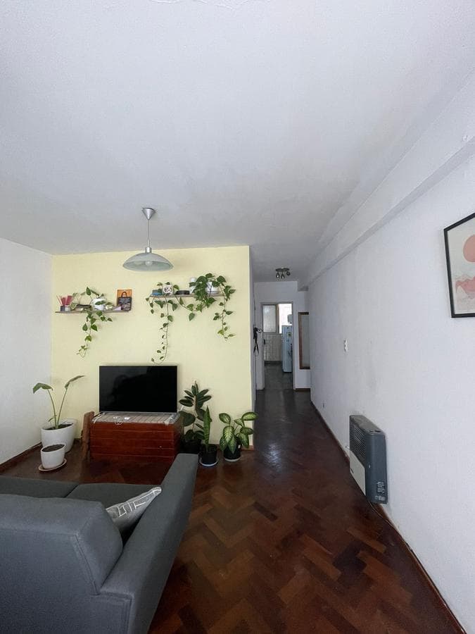Bargain Apartment