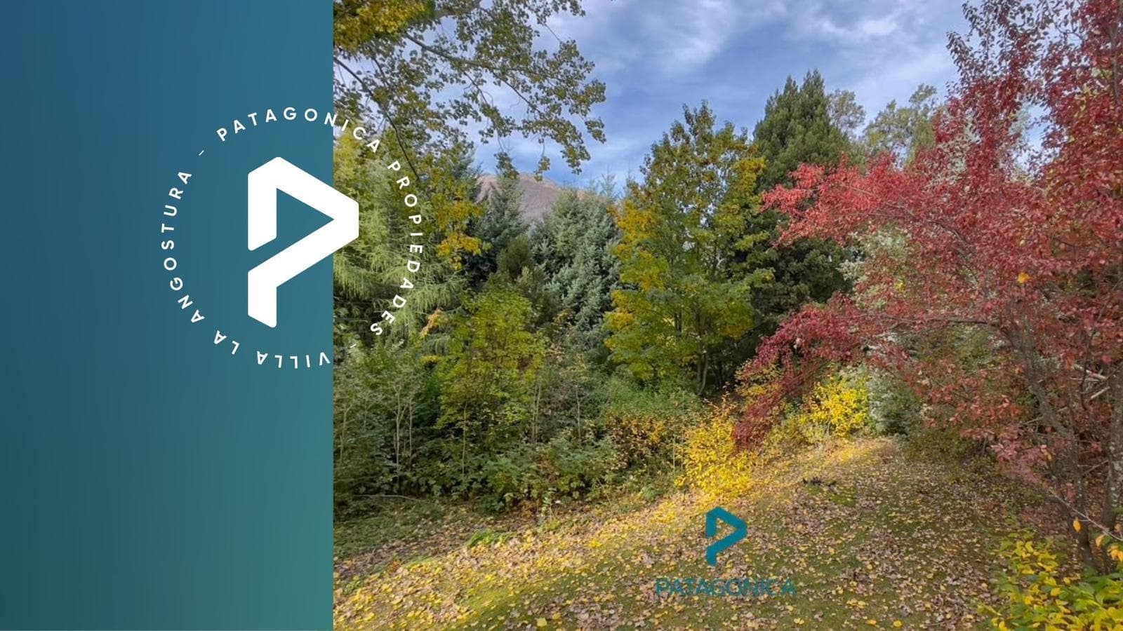 FOR SALE: 1,000-square-meter lot/plot of land, zoned for 4 UF, in Barrio Norte, Villa La Angostura