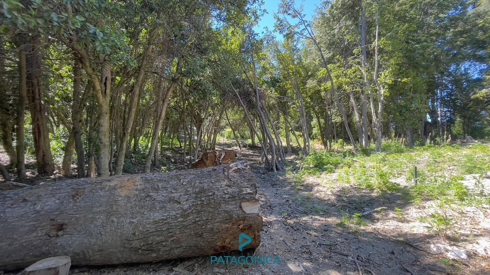 FOR SALE - 920 m² UF2 lot in Lomas del Correntoso, Villa La Angostura