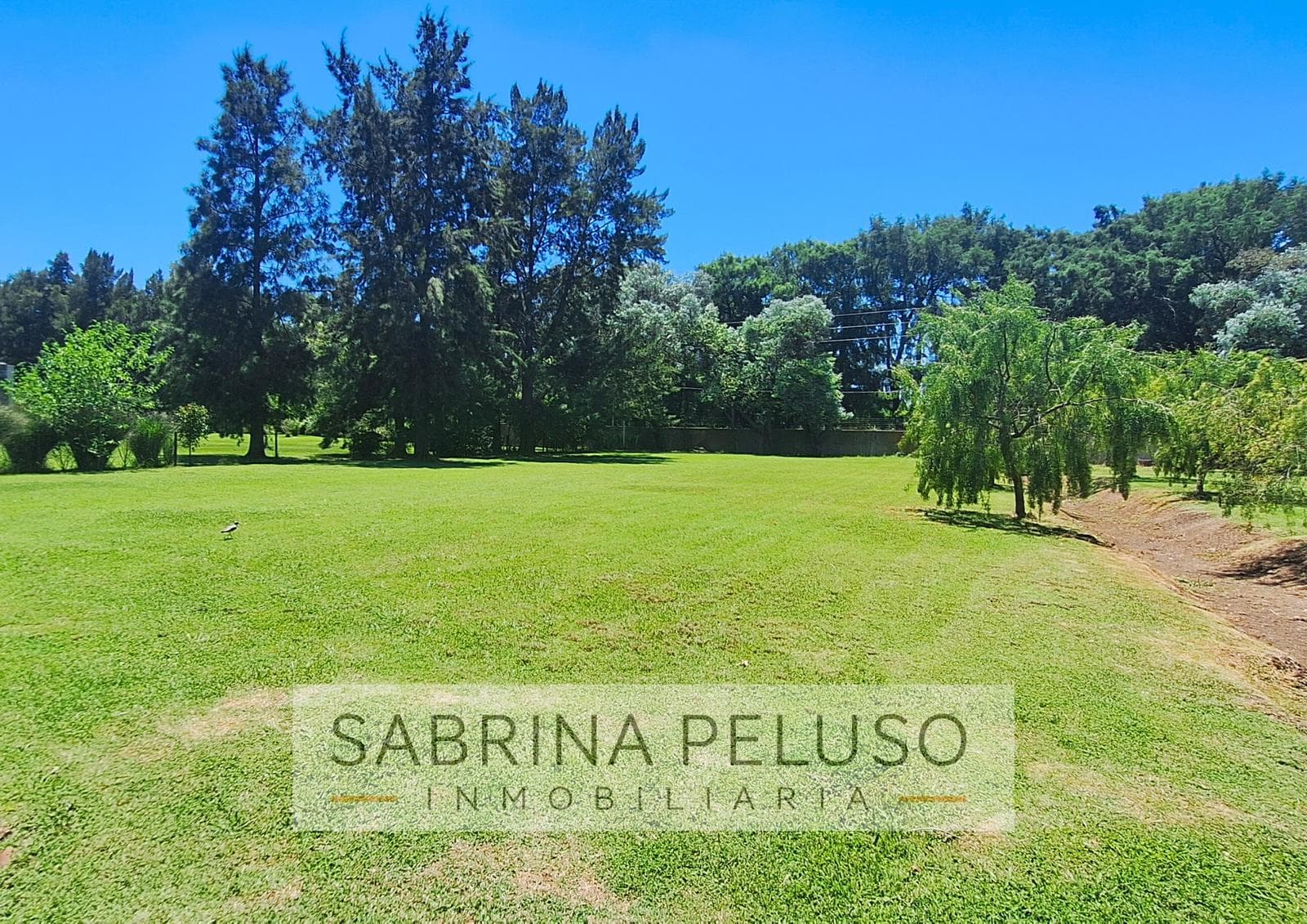 Land for Sale in Haras del Sol