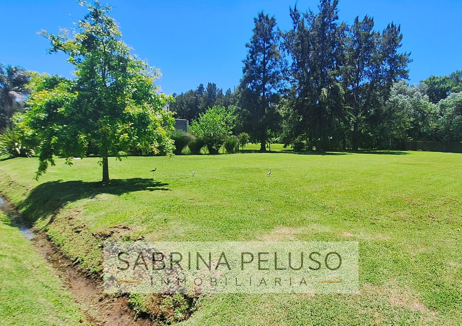 Land for Sale in Haras del Sol