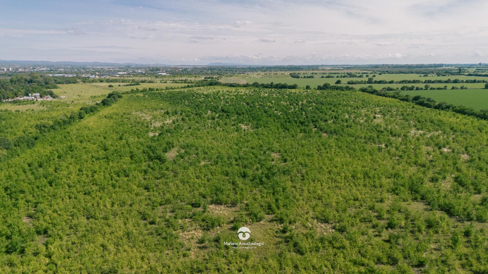 30-Hectare Lot in Alta Gracia - On Route 5
