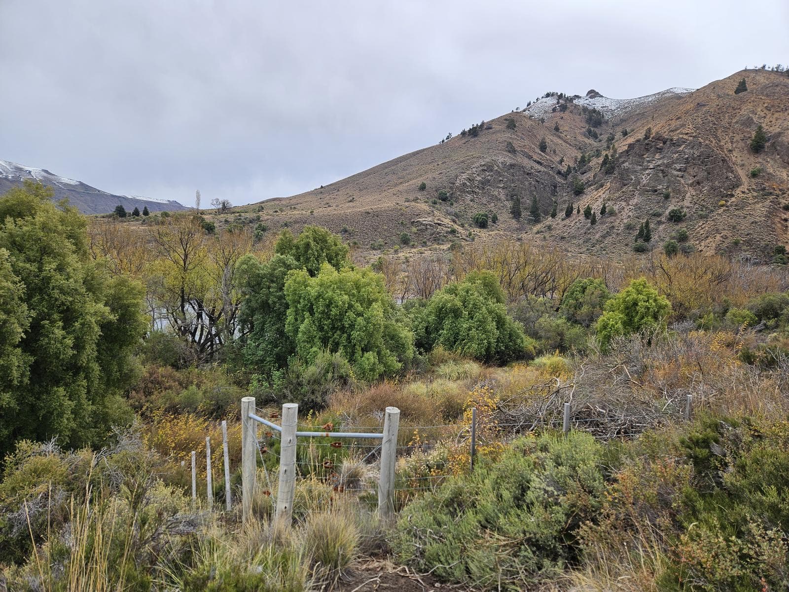 Farm for sale: 2 hectares with 532 meters of riverfront on the Limay River