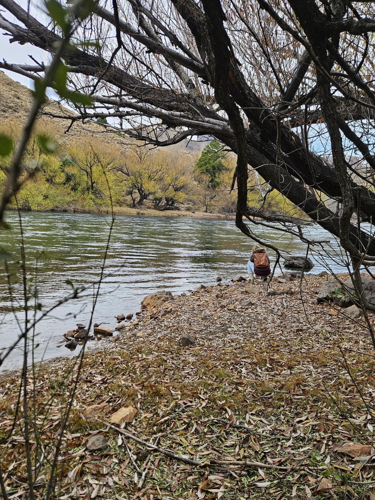 Farm for sale: 2 hectares with 532 meters of riverfront on the Limay River