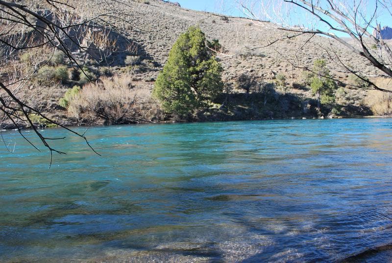 Farm for sale: 2 hectares with 532 meters of riverfront on the Limay River
