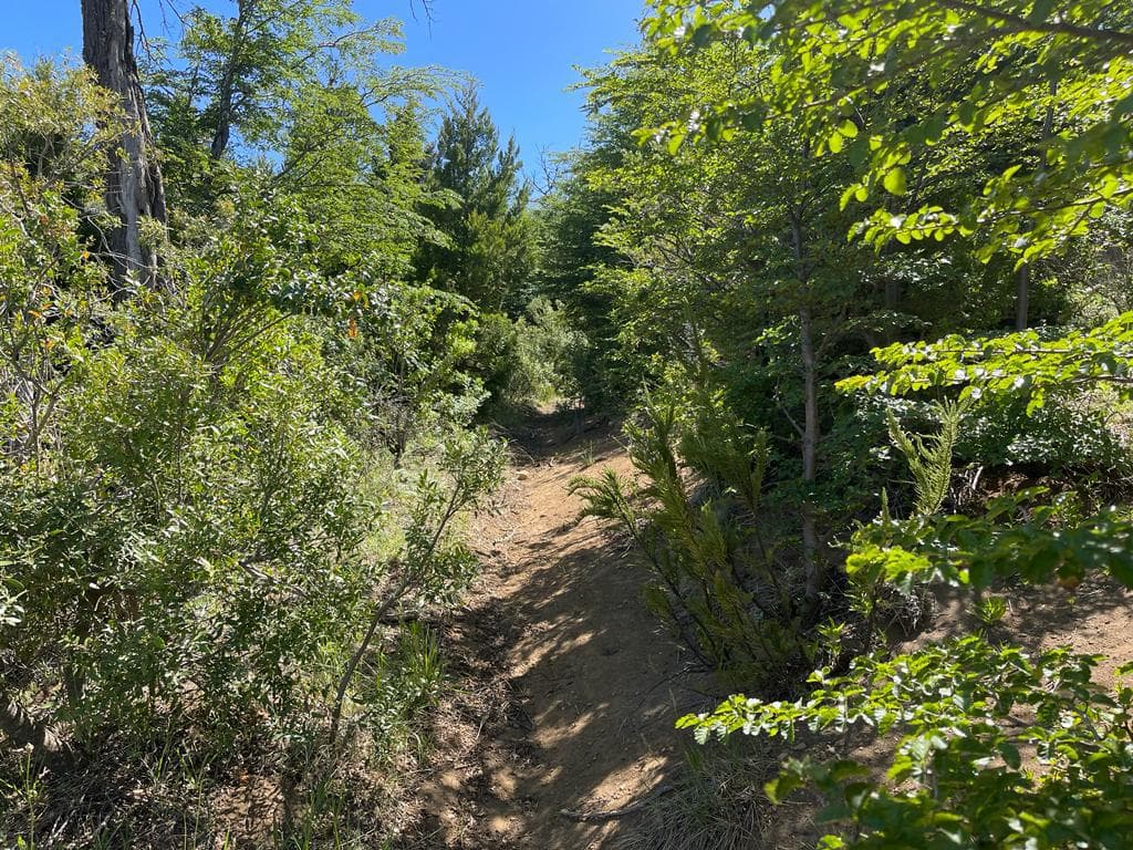 Land for Sale in Arelauquen