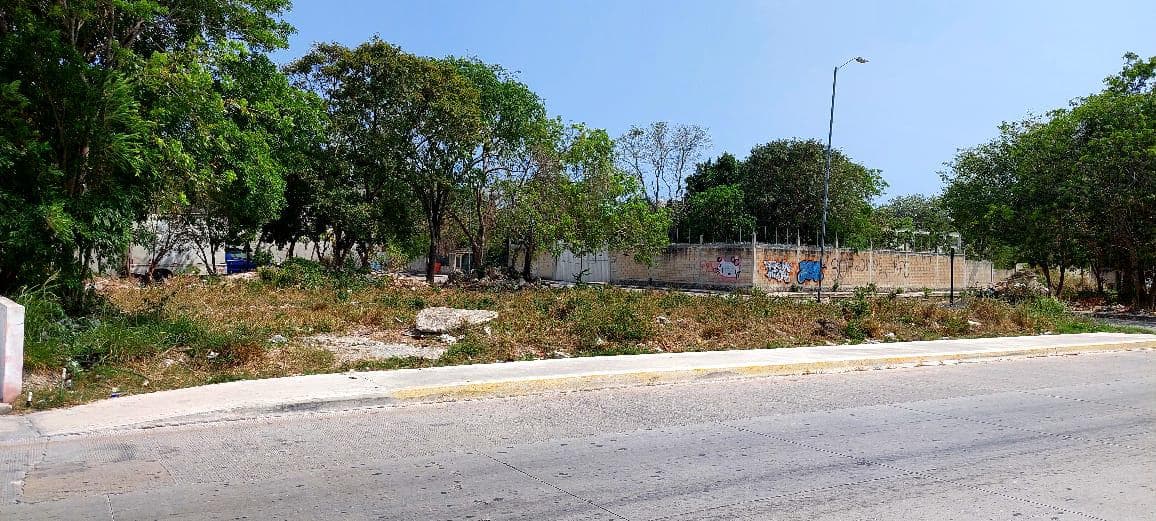 Commercial lot for rent in Playa del Carmen.