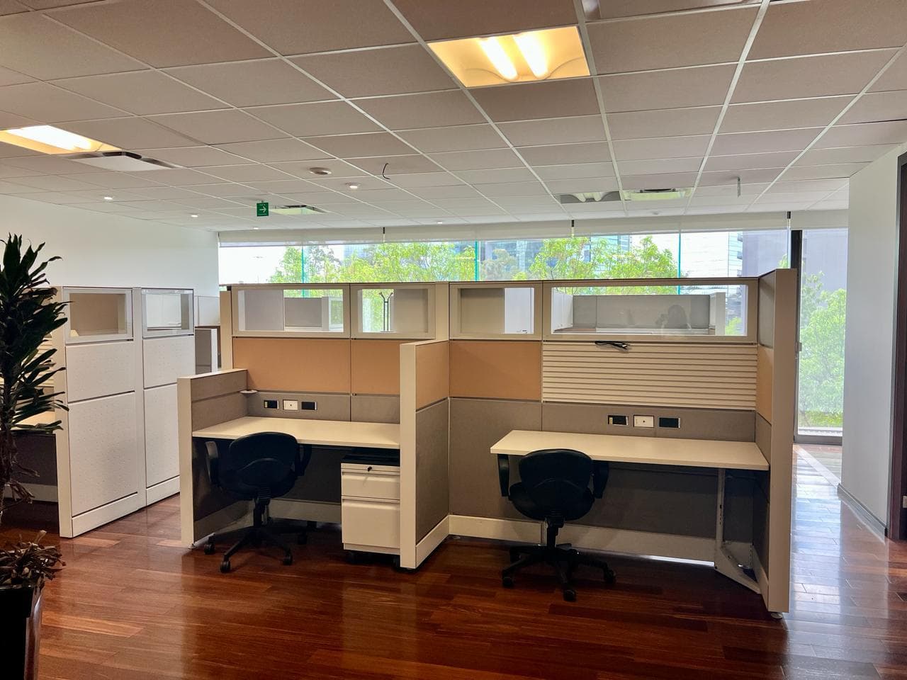 Office for Rent in Campos Eliseos