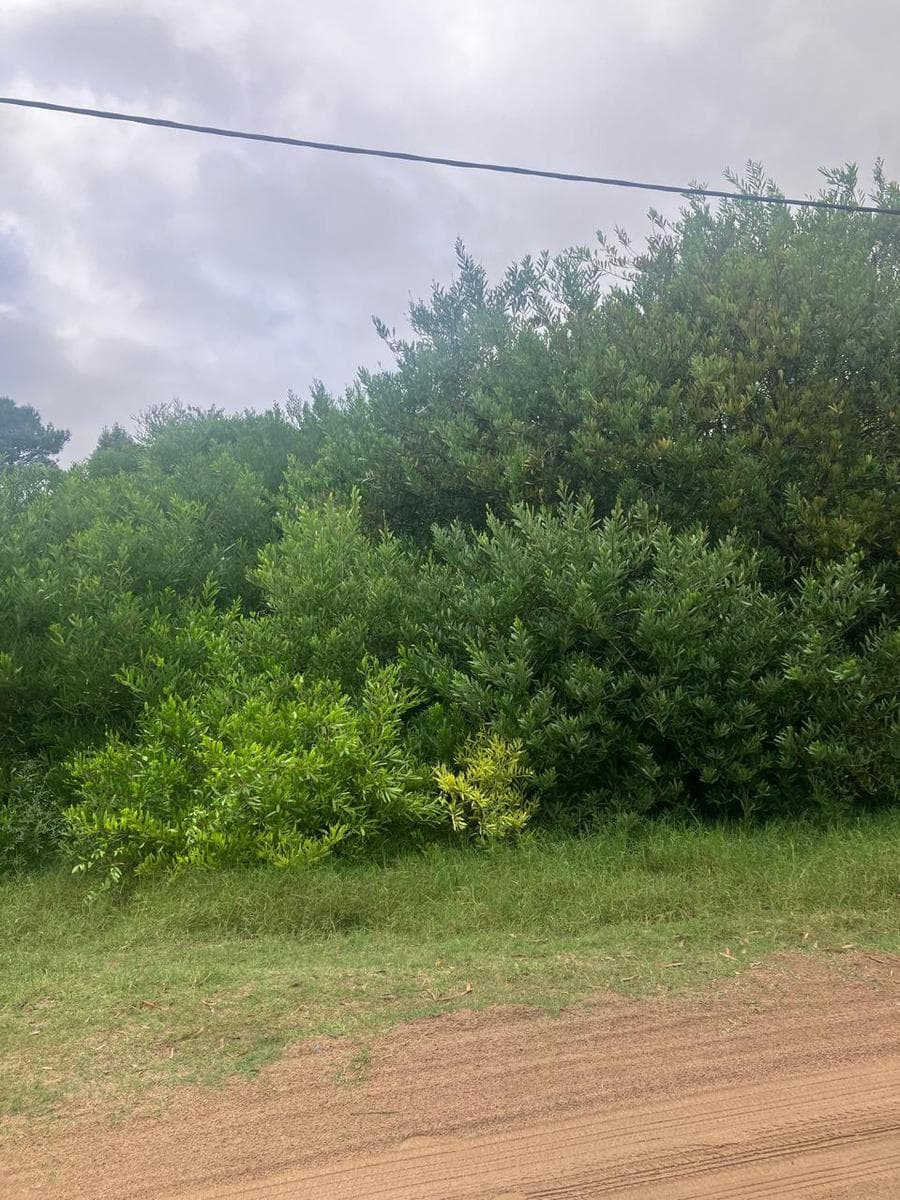 A very nice 600-meter lot in Las Gaviotas