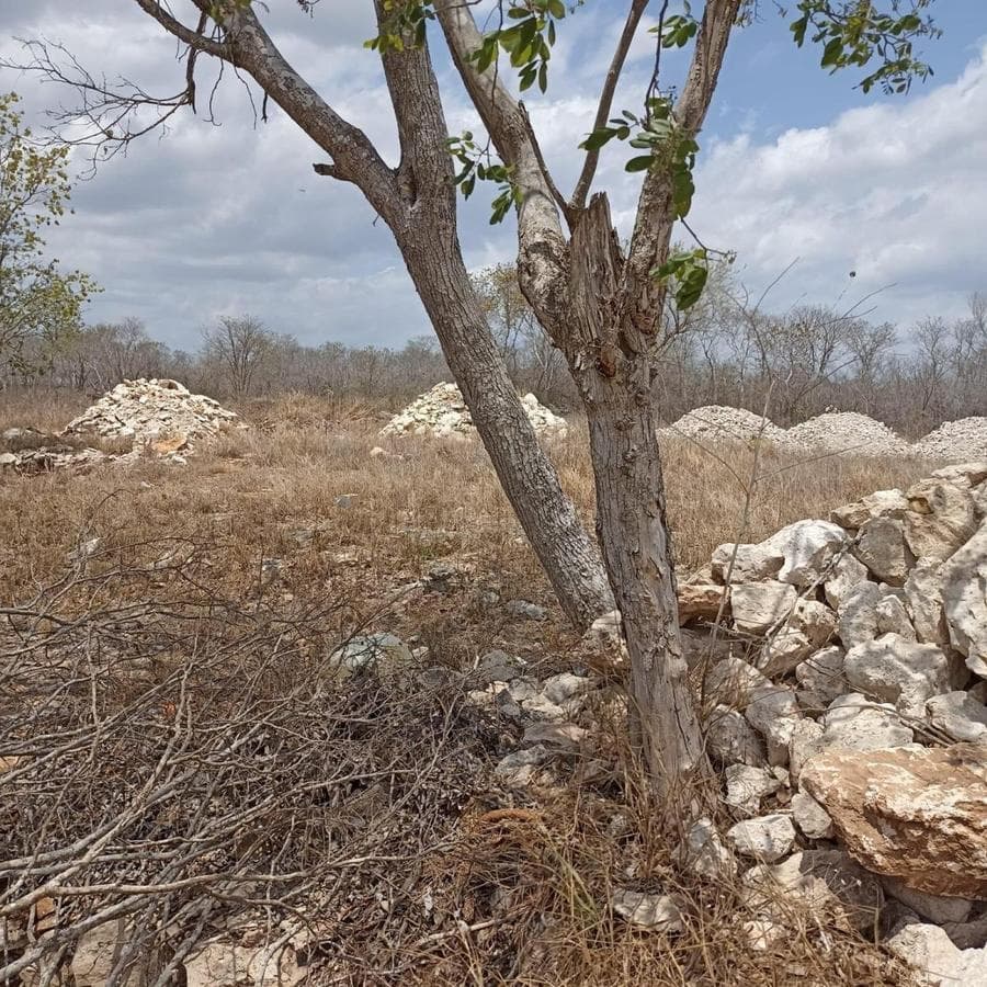 LARGE LOT FOR SALE: 4,227 M2 / $1,500 PER M2 / SITPACH, MÉRIDA, YUCATÁN