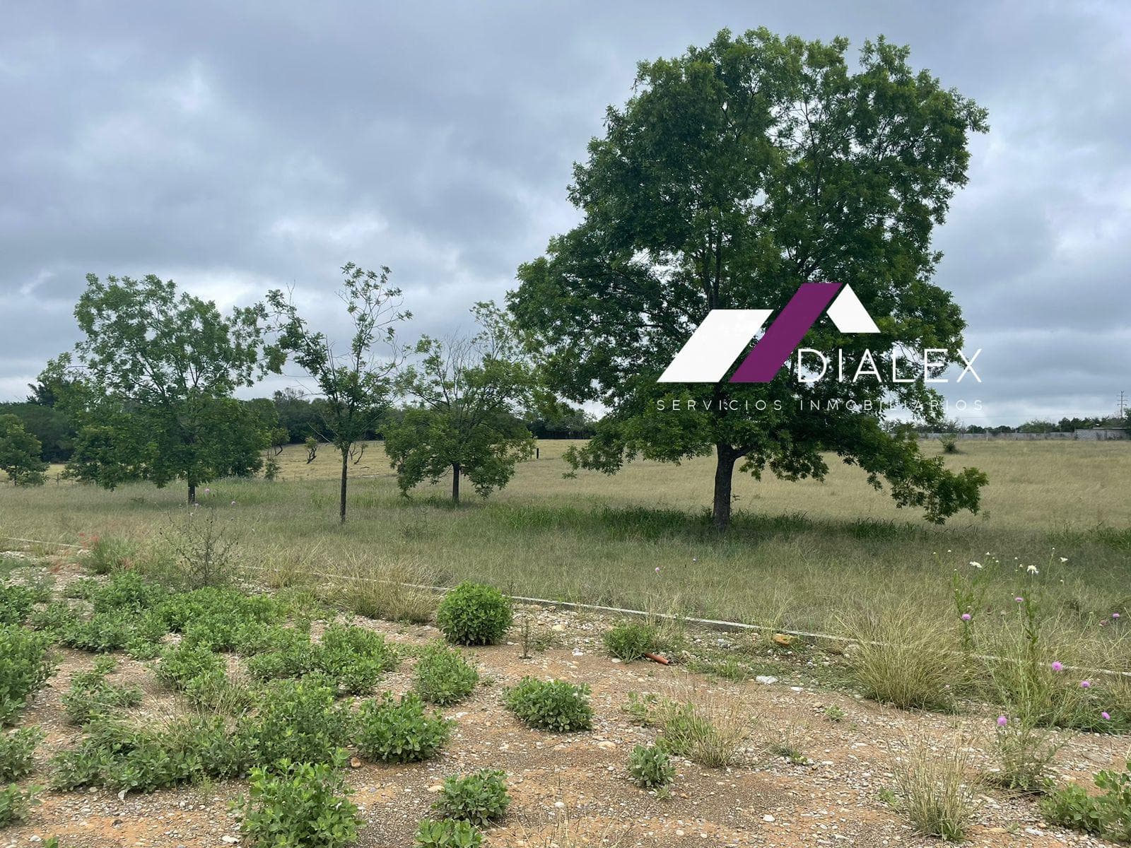 FOR SALE: 2,245 m2 lot - Rayones Highway, on the way to BIOPARQUE in Montemorelos