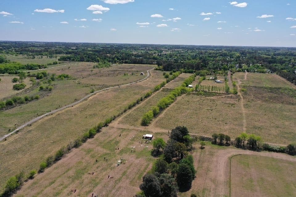 10-hectare Lot for Sale in Manzanares - Pilar