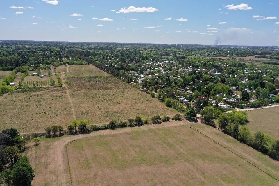10-hectare Lot for Sale in Manzanares - Pilar