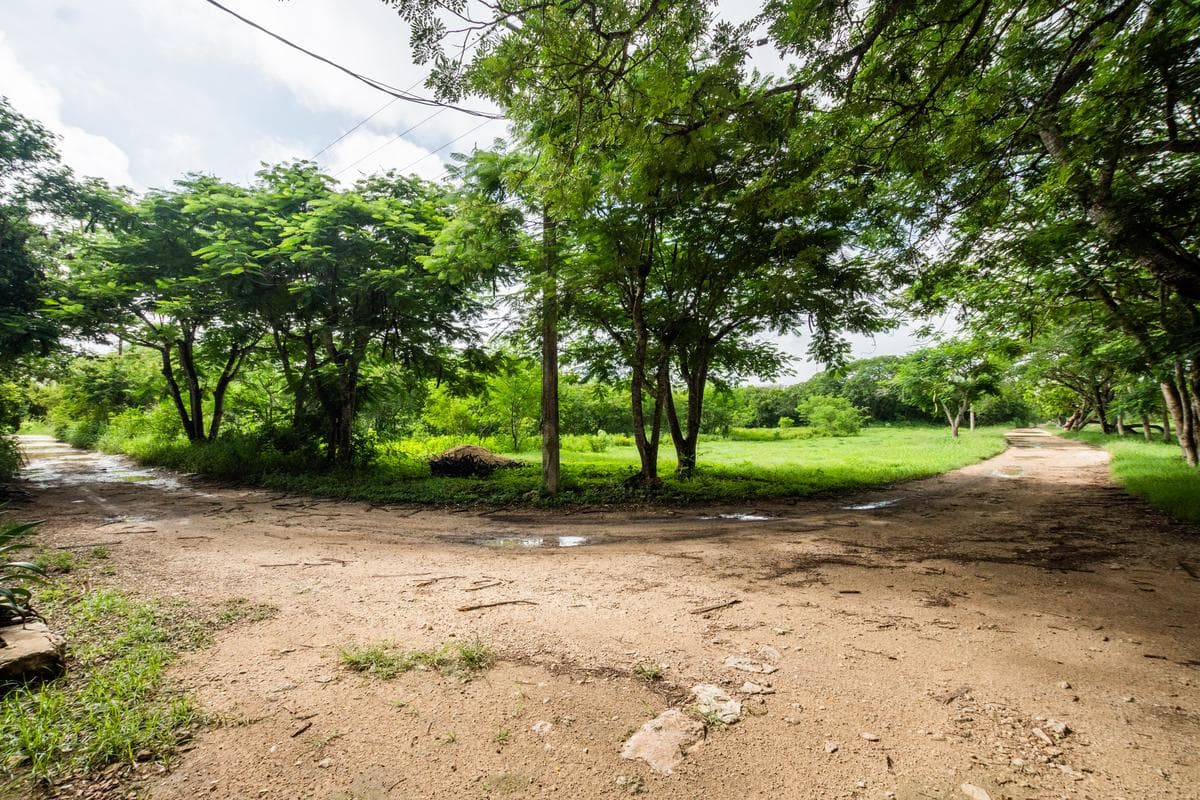 LAND FOR SALE IN CONKAL, MÉRIDA, YUCATÁN