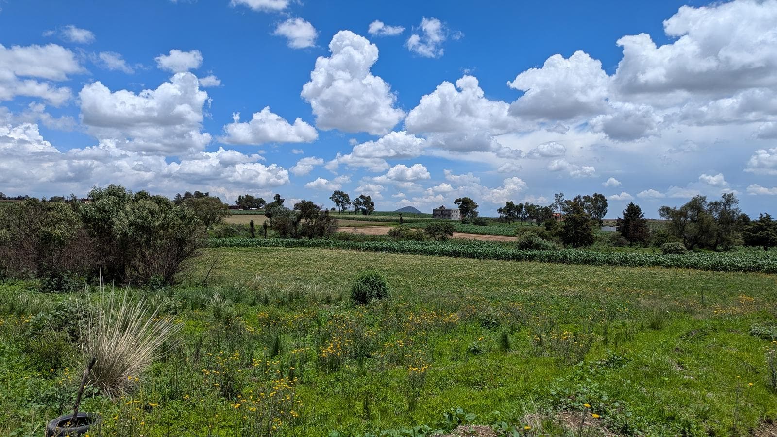 LAND FOR SALE IN ZACANGO