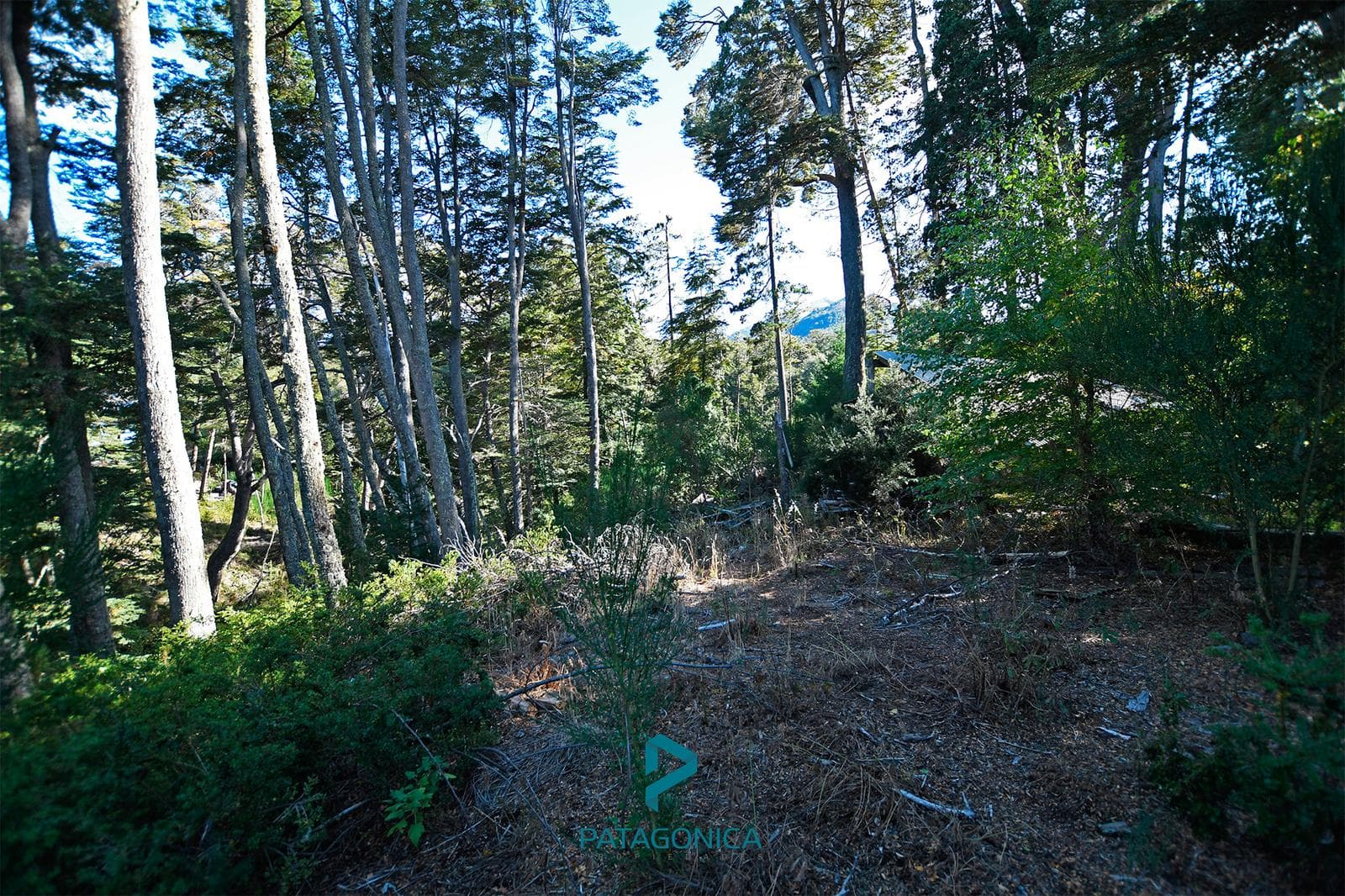 FOR SALE: 5,149 m² lot suitable for 4 houses, with access to the Rio Bonito riverbank, including electricity and gas meters. Altos de Manzano