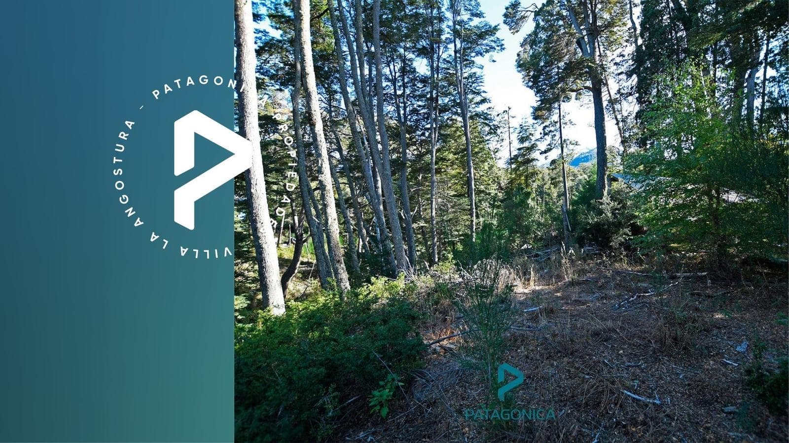FOR SALE: 5,149 m² lot suitable for 4 houses, with access to the Rio Bonito riverbank, including electricity and gas meters. Altos de Manzano