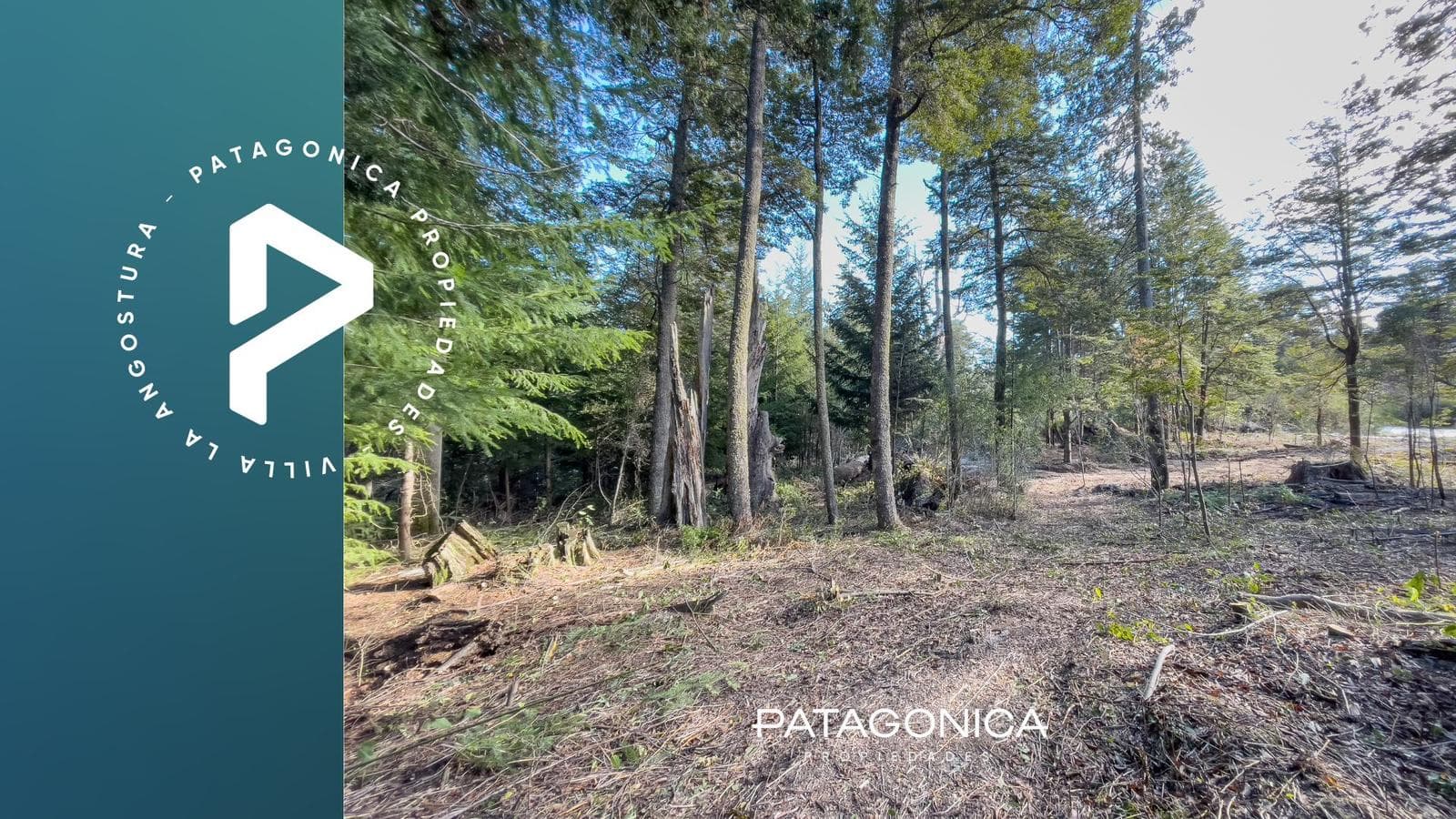 FOR SALE: 1,582 m² lot (UF 7), approved project. Altos de Manzano