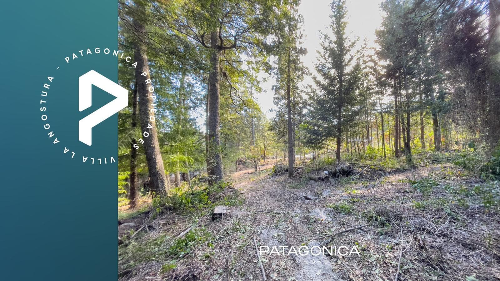 FOR SALE: 1,218 m² lot (UF 6), approved project. Altos de Manzano