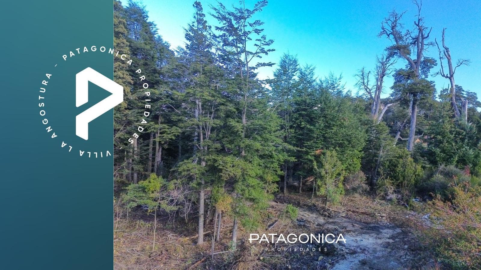 FOR SALE: 1,285 m² lot (UF 4), approved project. Altos de Manzano