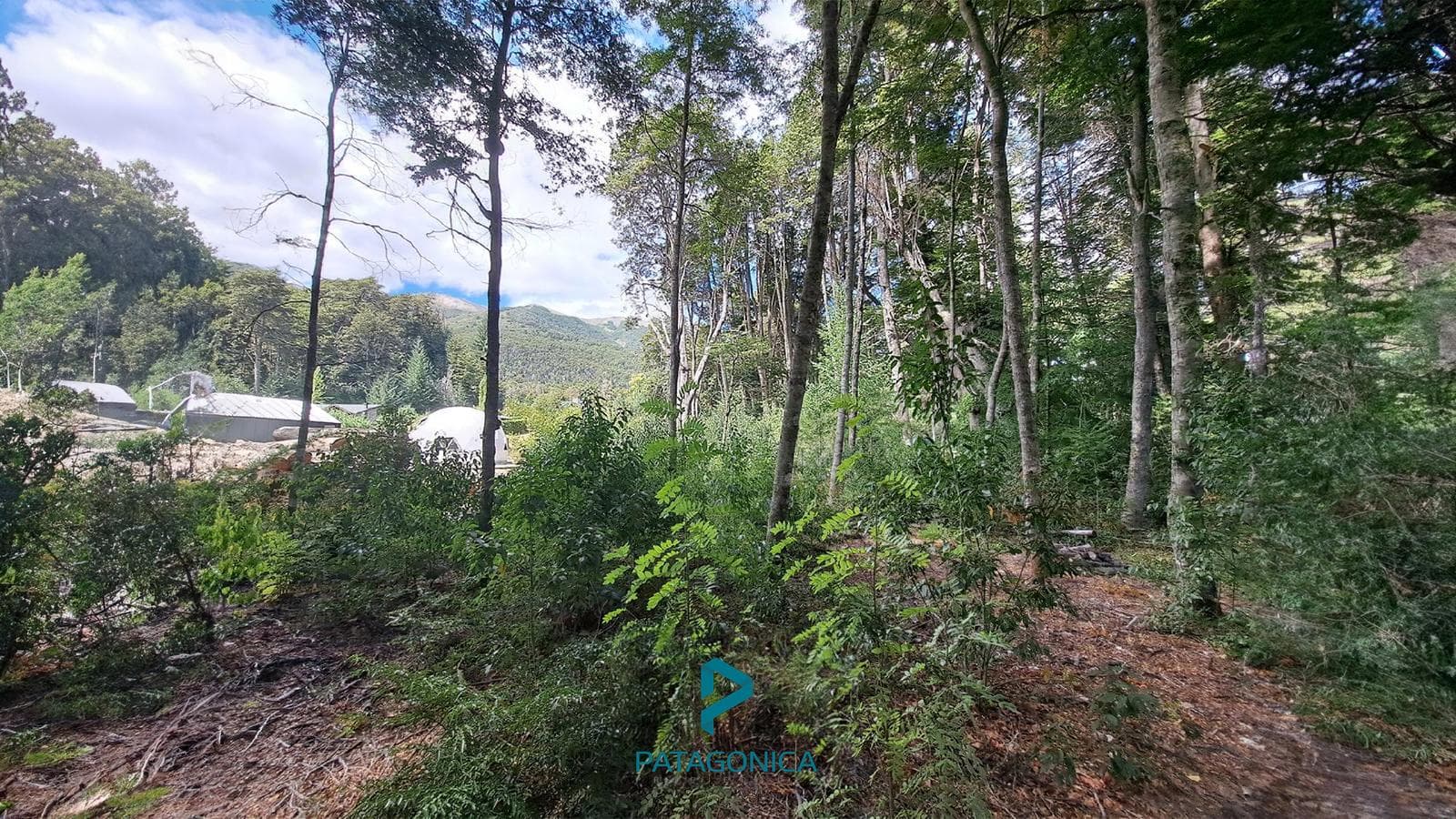FOR SALE: 1,996 m² flat lot, approved project, with utilities. Altos de Manzano, Villa la Angostura
