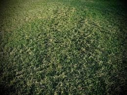 Excellent Plot of Land in La Lonja, Pilar