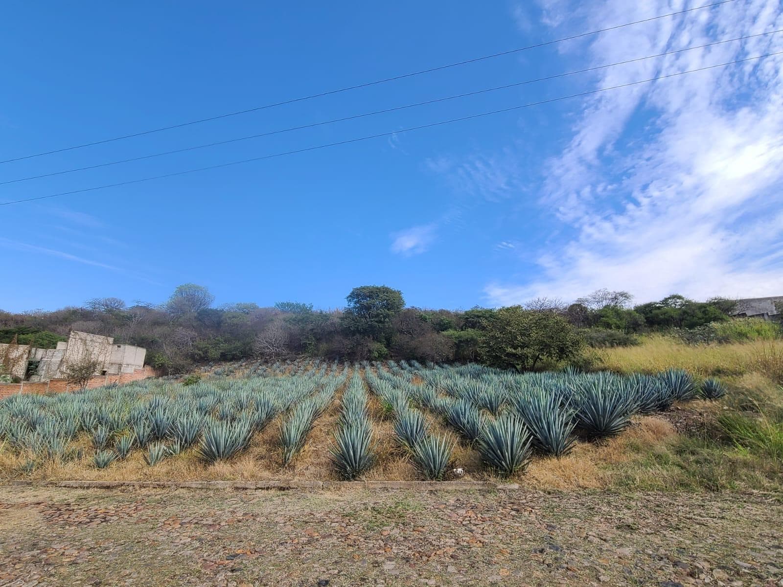 ACATLAN DE JUAREZ