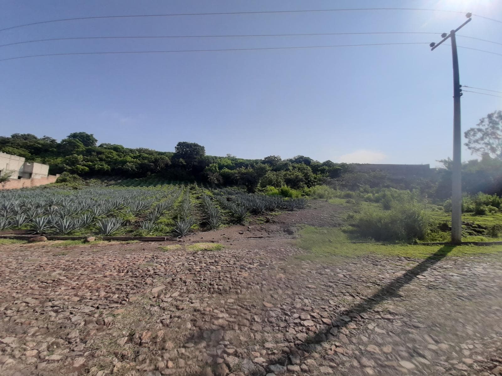 ACATLAN DE JUAREZ