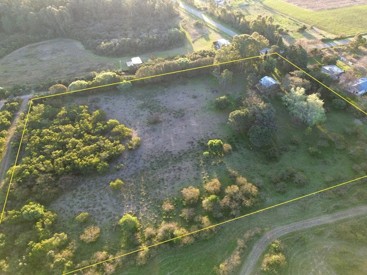 Farm in Los Pinos, 1.6 hectares - Colonia