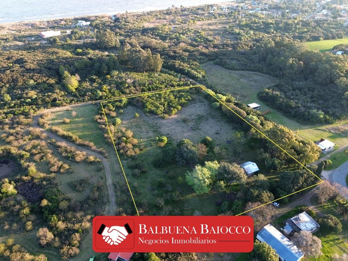 Farm in Los Pinos, 1.6 hectares - Colonia