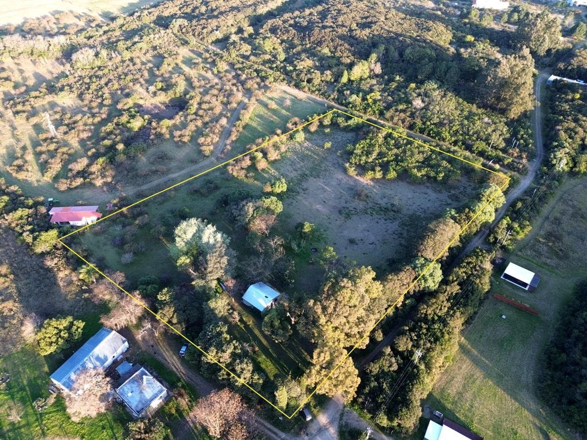 Farm in Los Pinos, 1.6 hectares - Colonia