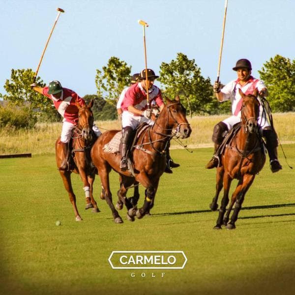 Large Lot for Sale in Carmelo Golf, Lago/Chacras Area