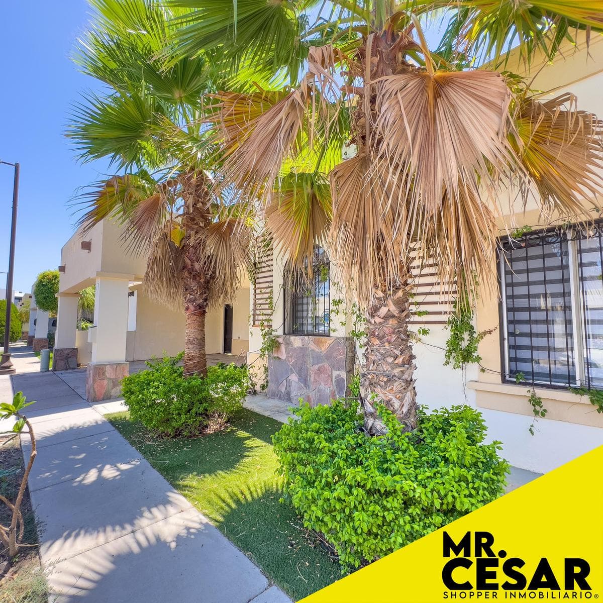 Single-Story House for Sale in Salvatierra Residencial