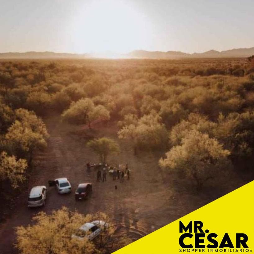 Land for Sale in Campestre El Retiro