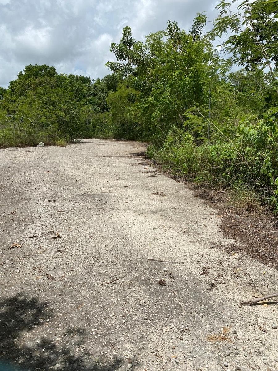 LAND FOR SALE IN CANCUN BEHIND THE CENTRAL DE ABASTOS MARKET