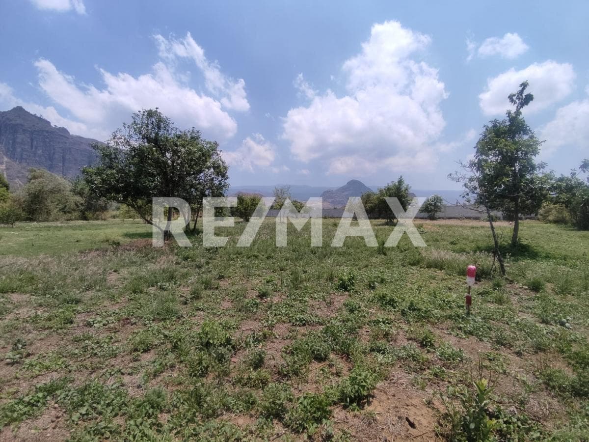Land for Sale in Morelos, registered in Tlayacapan