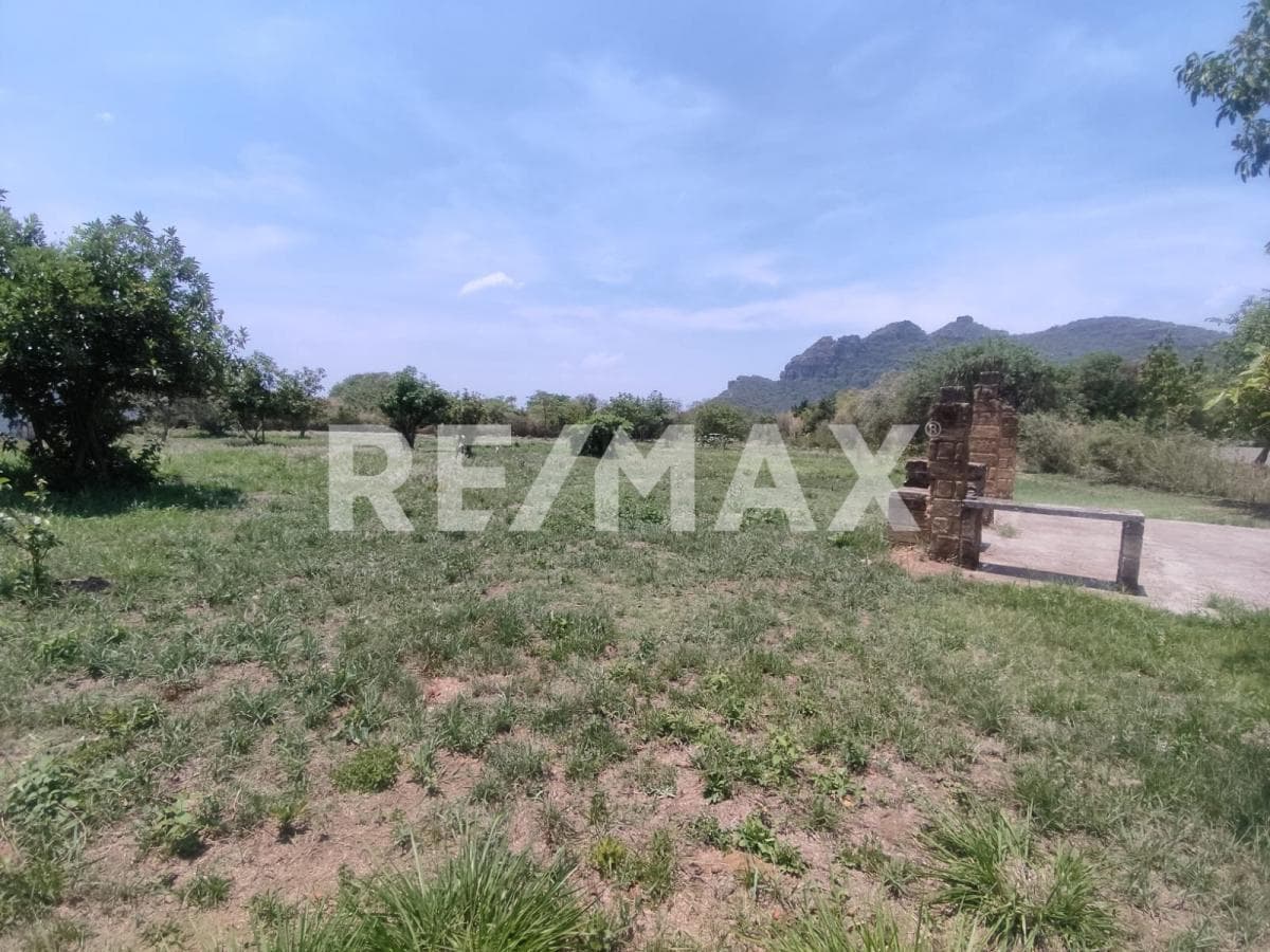 Land for Sale in Morelos, registered in Tlayacapan