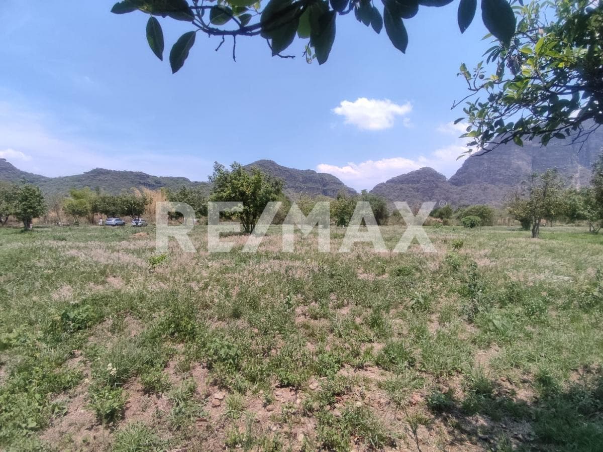 Land for Sale in Morelos, registered in Tlayacapan