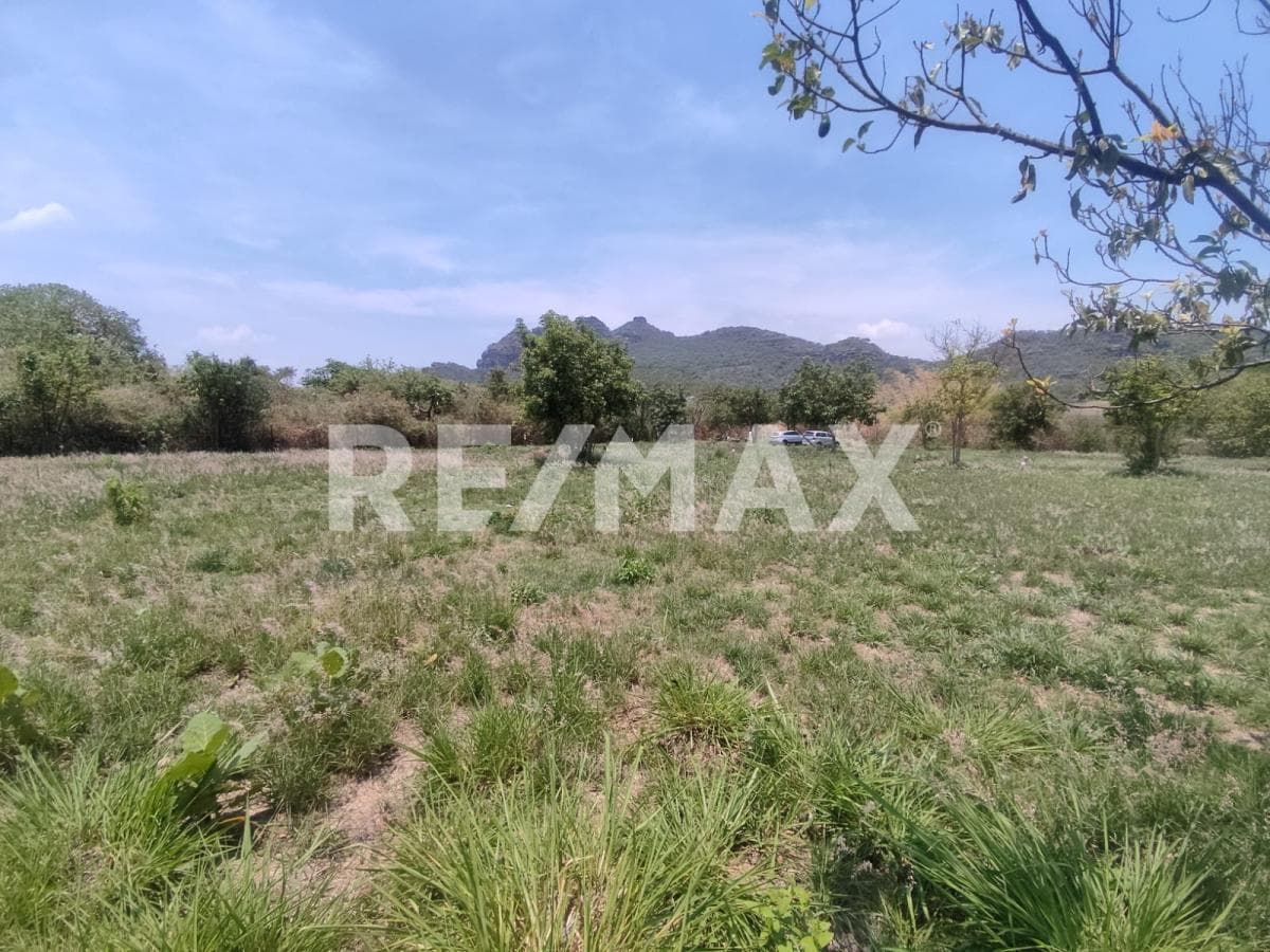 Land for Sale in Morelos, registered in Tlayacapan