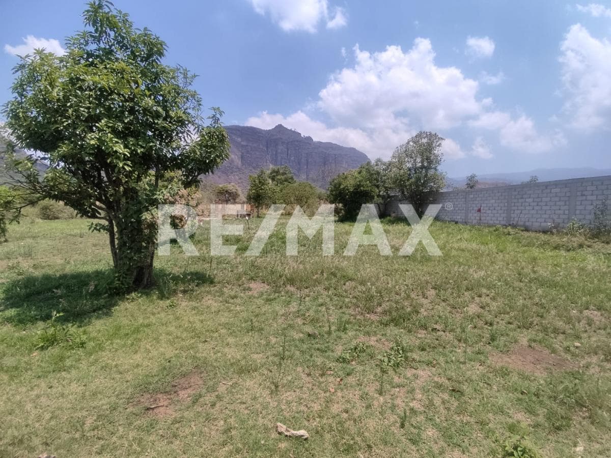 Land for Sale in Morelos, registered in Tlayacapan