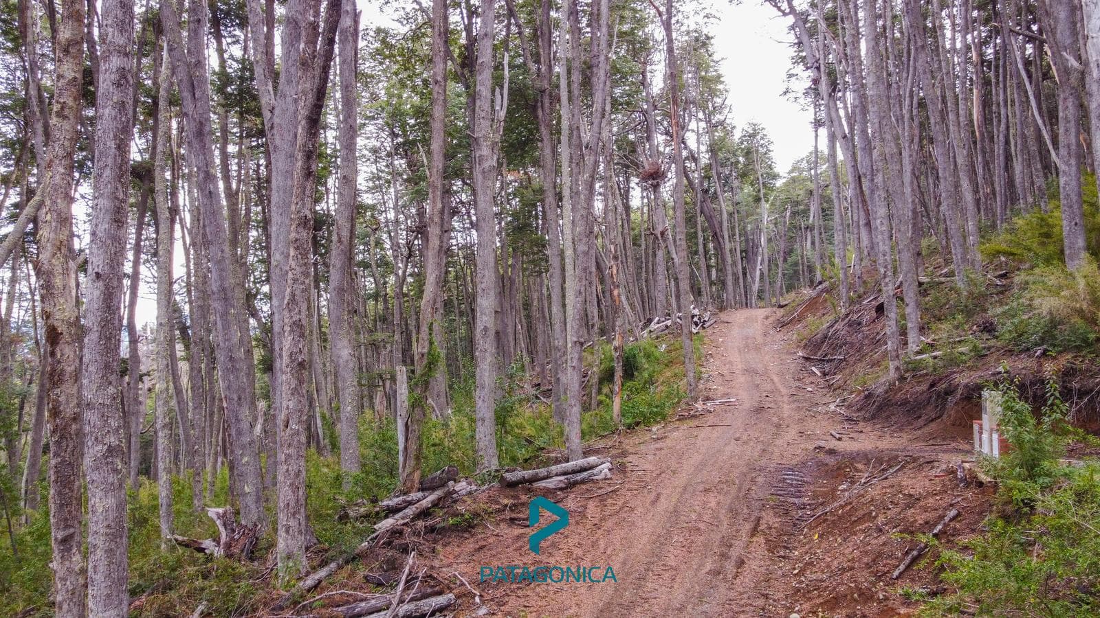 FOR SALE: Lot UF 6A, 3 UF, 4,217 m², with a lake view in the exclusive COTA MIL neighborhood