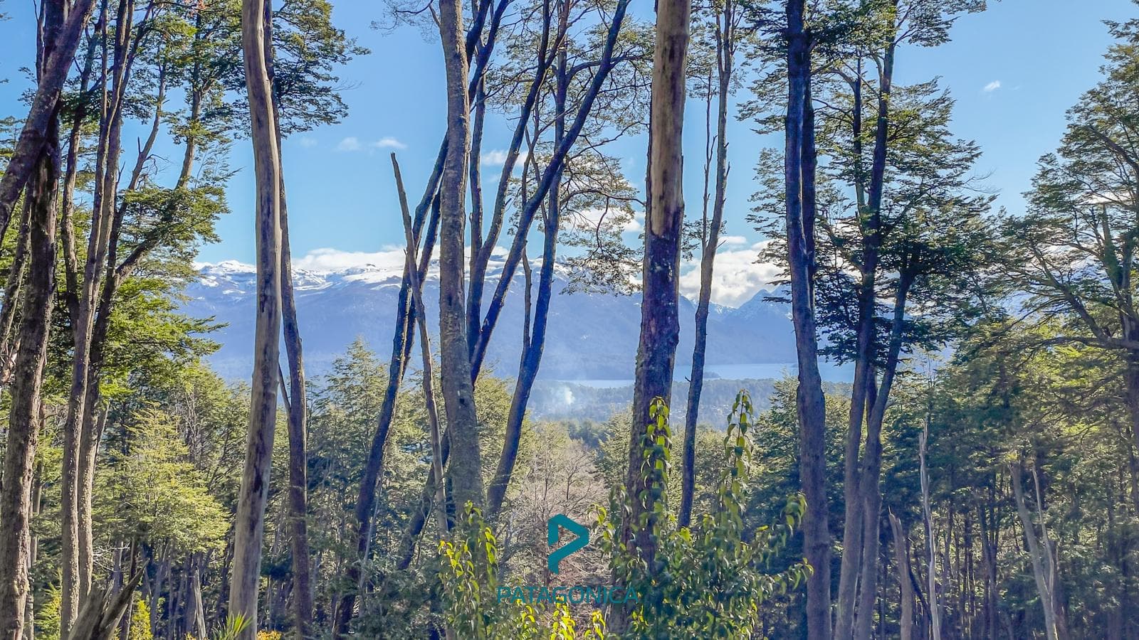 FOR SALE: Lot UF 1B, Zoned for 3 UF, 4,300 m², with a lake view in the exclusive COTA MIL neighborhood