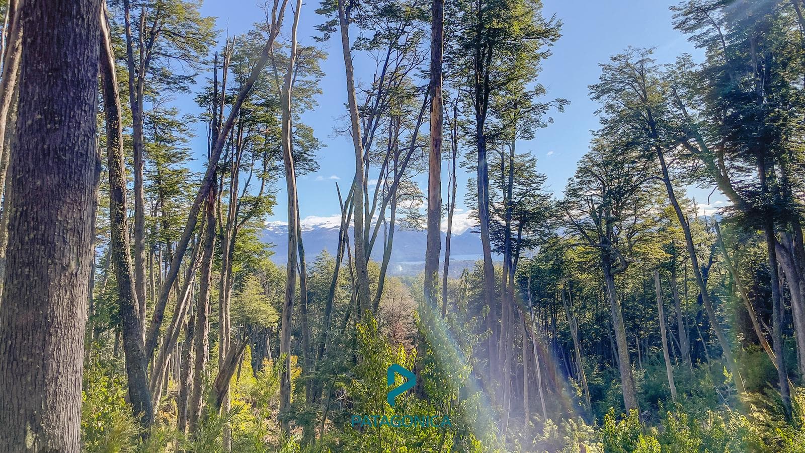 FOR SALE: Lot UF 1B, Zoned for 3 UF, 4,300 m², with a lake view in the exclusive COTA MIL neighborhood