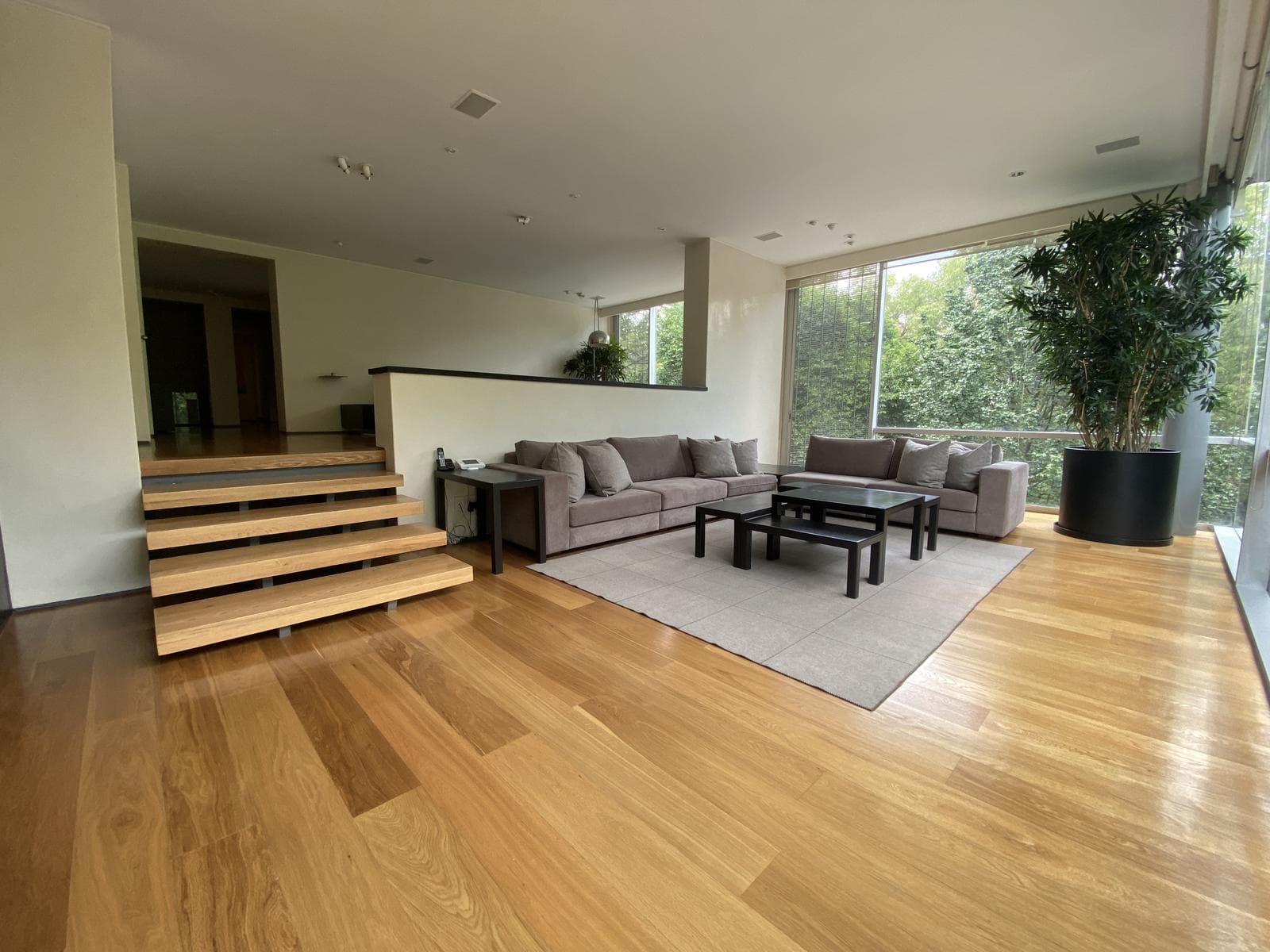 Apartment for sale and rent in Polanco, across from Lincoln Park