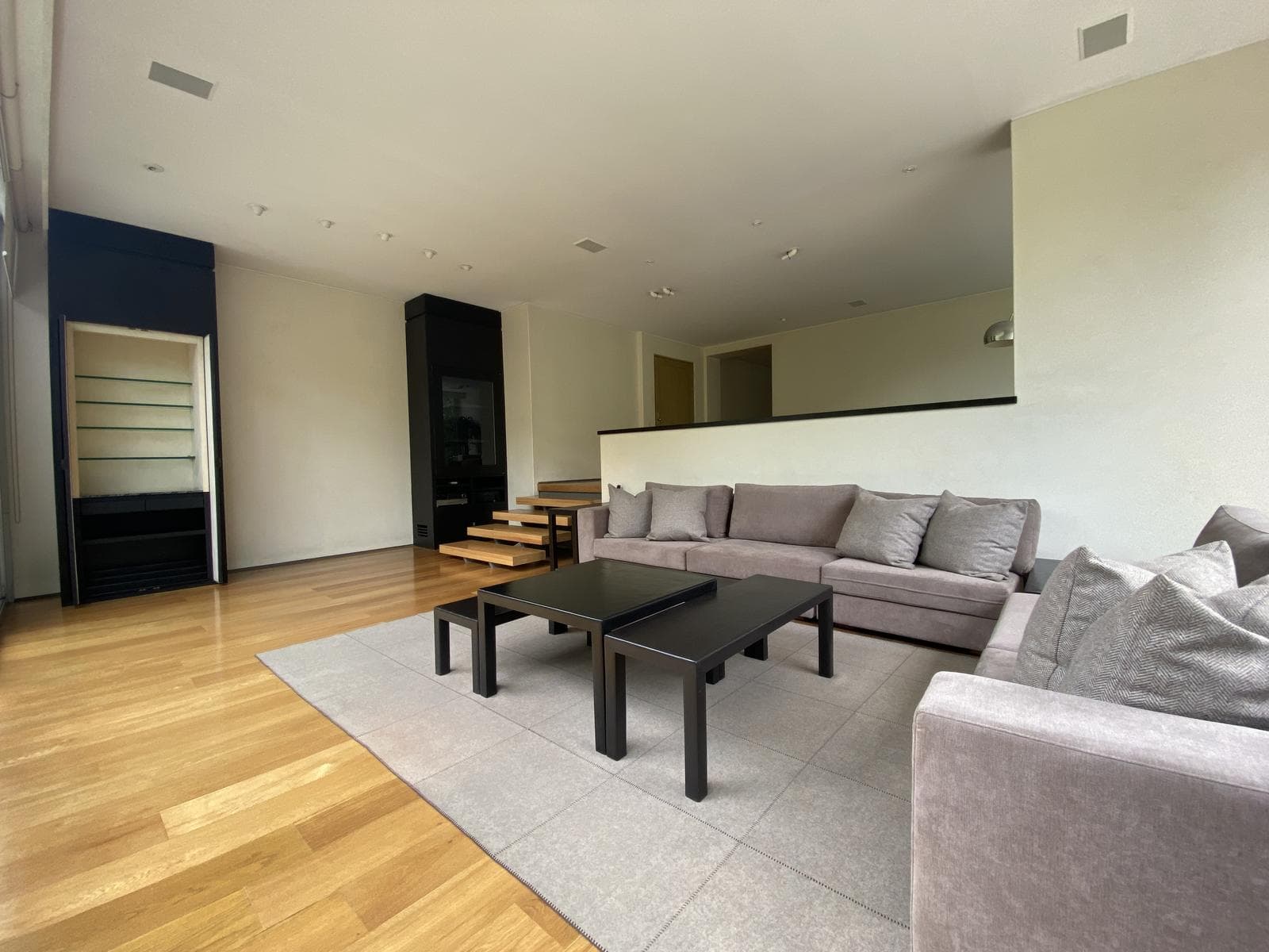 Apartment for sale and rent in Polanco, across from Lincoln Park